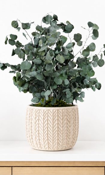 Green Populus plant